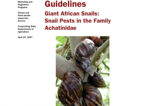 Pest Control Laredo Tx Pdf New Pest Response Guidelines Giant African Snails Snail Pests
