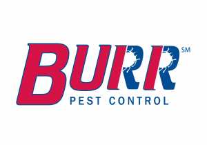 Pest Control Rockford Il Burr Pest Control Rockford Il Company Information