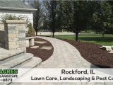 Pest Control Rockford Il Lawn Service In Rockford Il Get A Free Quote 815 703 0873