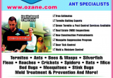 Pest Control toms River Nj Ozane Termite Pest Control toms River Nj 08755