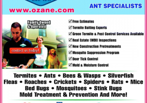 Pest Control toms River Nj Ozane Termite Pest Control toms River Nj 08755