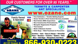 Pest Control toms River Nj Ozane Termite Pest Control toms River Nj 08755