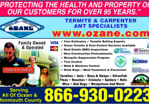 Pest Control toms River Nj Ozane Termite Pest Control toms River Nj 08755