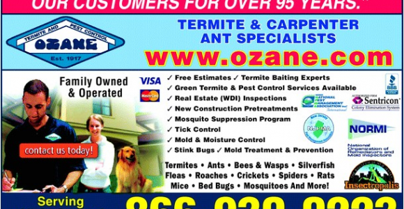 Pest Control toms River Nj Ozane Termite Pest Control toms River Nj 08755