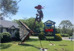 Pest Control toms River Nj Pest Control Company In Nj Unveils Praying Mantis