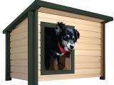 Pet Shops In Beaumont Tx Dog Houses Dog Carriers Houses Kennels the Home Depot