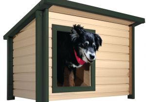 Pet Shops In Beaumont Tx Dog Houses Dog Carriers Houses Kennels the Home Depot