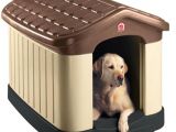 Pet Shops In Beaumont Tx Dog Houses Dog Carriers Houses Kennels the Home Depot