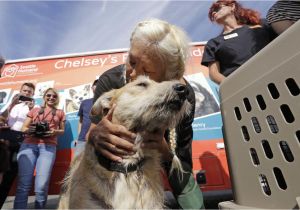 Pet Stores In Beaumont Texas Nearly 60 Photos Of Animals Being Rescued From Harvey Flooding