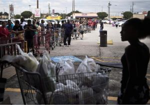 Pet Stores In southeast Texas Hurricane Harvey Devastates southeast Texas the Boston Globe