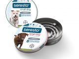 Pet Supermarket In Rock Hill Sc Seresto Flea and Tick Prevention Collar for Large Dogs 8 Month Flea