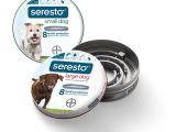 Pet Supermarket Rock Hill Sc Seresto Flea and Tick Prevention Collar for Large Dogs 8 Month Flea