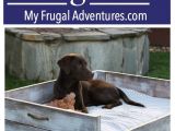 Pet Supplies Beaumont Tx Diy Dog Bed Tutorial Best Of My Frugal Adventures Blog Pinterest