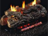 Peterson Vent Free Gas Logs Reviews Peterson Real Fyre 24 Inch Golden Oak Designer See Thru