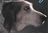 Pets without Partners In Redding Ca July O Henry 2014 by O Henry Magazine issuu