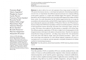 Pets without Partners Redding Ca Pdf Synthesis and Characterization Of Different Immunogenic Viral