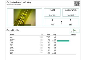 Pets without Partners Redding Ca Reviews 250mg Canine Hemp Oil for Small to Medium Dogs Canine Wellness Lab