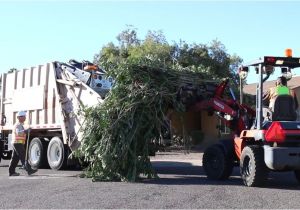 Phoenix Bulk Trash Pickup by Address Bulk Trash is Coming to Your Neighborhood