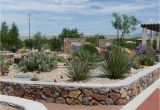 Plant Nursery El Paso Cactus and Succulent Garden El Paso Desert Botanical