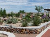Plant Nursery El Paso Cactus and Succulent Garden El Paso Desert Botanical