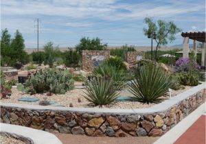 Plant Nursery El Paso Cactus and Succulent Garden El Paso Desert Botanical