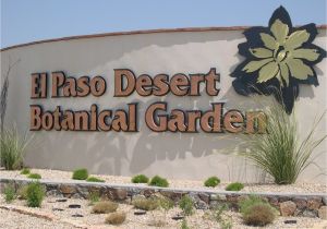 Plant Nursery El Paso El Paso the Sun City 9 Interesting Facts Travel with
