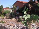 Plant Nursery El Paso Texas Arid El Paso Makes Every Drop Count Grist