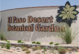 Plant Nursery El Paso Texas El Paso the Sun City 9 Interesting Facts Travel with