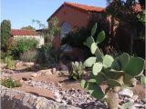 Plant Nursery El Paso Tx Arid El Paso Makes Every Drop Count Grist