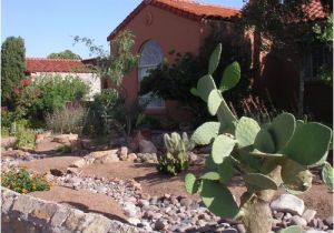 Plant Nursery El Paso Tx Arid El Paso Makes Every Drop Count Grist