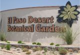 Plant Nursery El Paso Tx El Paso the Sun City 9 Interesting Facts Travel with