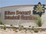 Plant Nursery El Paso Tx El Paso the Sun City 9 Interesting Facts Travel with