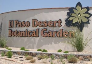 Plant Nursery El Paso Tx El Paso the Sun City 9 Interesting Facts Travel with
