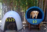 Plastic Barrel Dog House Raising toot and Roxy Dog House Idea for Cheap