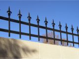 Plastic Wrought Iron Fence toppers Decorative Wrought Iron Fencing Examples Sun King Fencing