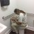 Plumbers In New Bern Nc Plumbers New Bern Nc James L Cayton associates Inc