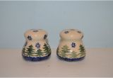 Polish Pottery Salt and Pepper Shakers Polish Pottery Salt and Pepper Shakers Brand New