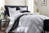 Polyester Comforter Vs Cotton Comforter Amazon Com Luxurious 1200 Thread Count Goose Down Comforter Duvet