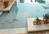 Pool Decals for Concrete Pools Pool Decal Brown Turtle Group Small for Concrete
