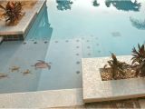 Pool Decals for Concrete Pools Pool Decal Brown Turtle Group Small for Concrete