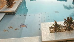 Pool Decals for Concrete Pools Pool Decal Brown Turtle Group Small for Concrete