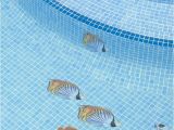 Pool Decals for Concrete Pools Pool Decal Coral Reef Scene for Concrete Fiberglass Pools