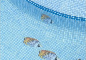 Pool Decals for Concrete Pools Pool Decal Coral Reef Scene for Concrete Fiberglass Pools
