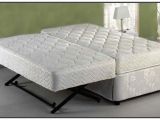 Pop Up Trundle Beds for Adults Pop Up Trundle Beds for Adults Beds and Bed Frames