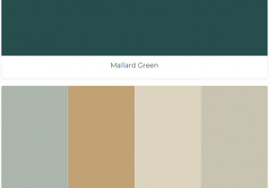 Powell Buff Benjamin Moore Photo Mallard Green Raindance Grenada Hills Gold Jute Paris Rain