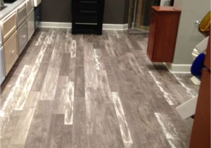 Premier Glueless Laminate Flooring Arcadian Oak Oh My This Beautiful Architectural Remnants Laminate Floor From