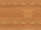 Premier Glueless Laminate Flooring Red Oak Premier Glueless Laminate Flooring Reviews Flooring Designs