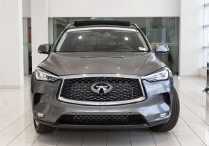 Premier Overhead Door Lexington Ky 2019 Infiniti Qx50 Essential Jefferson County Ky Serving Oldham