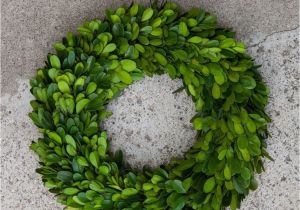 Preserved Boxwood Wreath Bulk Craft House Designs wholesale Boxwood Wreath 11