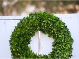 Preserved Boxwood Wreath Bulk Large Preserved Boxwood Wreath Base Wreath Spring Wreath